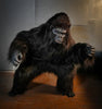 Gorilla Costume bending down in squat