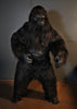 Gorilla Costume standing in pose by Distortions Unlimited