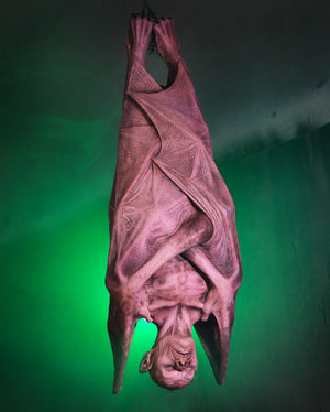 Hanging Vampire prop with incredible detail hangs from the ceiling in its cave.