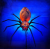 Jack Widow Giant Halloween Spider Prop 2022