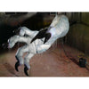 Giant Monster Hand Animatronic for Halloween and Haunted Houses by Distortions