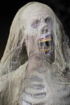 Scary Skeleton haunted house decoration called Mortal Remains