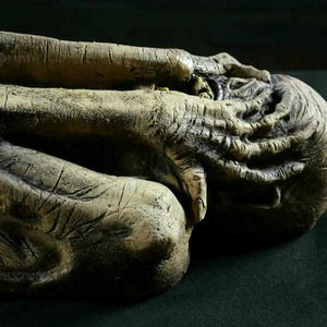 Ancient Mummy Haunted House Prop For Sale Online – Distortions Unlimited