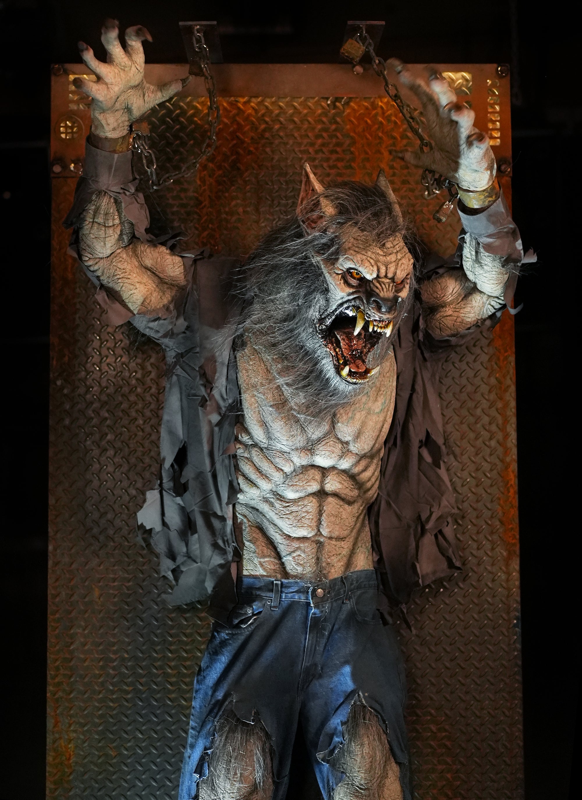 Scare Wolf Werewolf Animatronic Prop for Haunts and Halloween