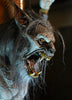 Scare Wolf werewolf animatronic prop face and big teeth