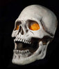 Super Skull giant Halloween prop side view by Distortions Unlimited. These super skulls have glowing eyes and hang on the wall.