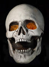 Super Skull giant Halloween prop skull by Distortions Unlimited. These super skulls have glowing eyes and hang on the wall.