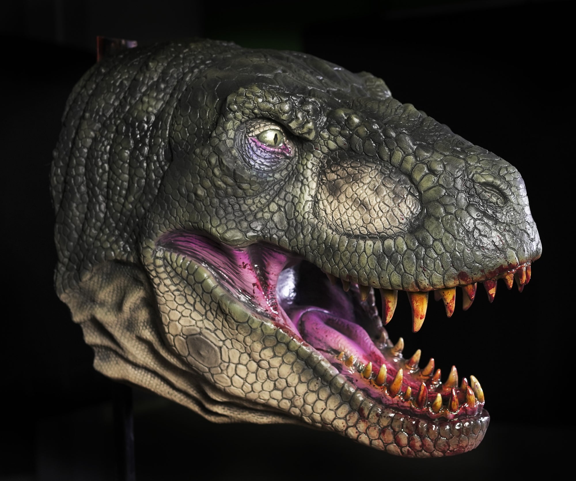 T REX Head Wall Mount Realistic Detailed Dinosaur Prop – Distortions ...