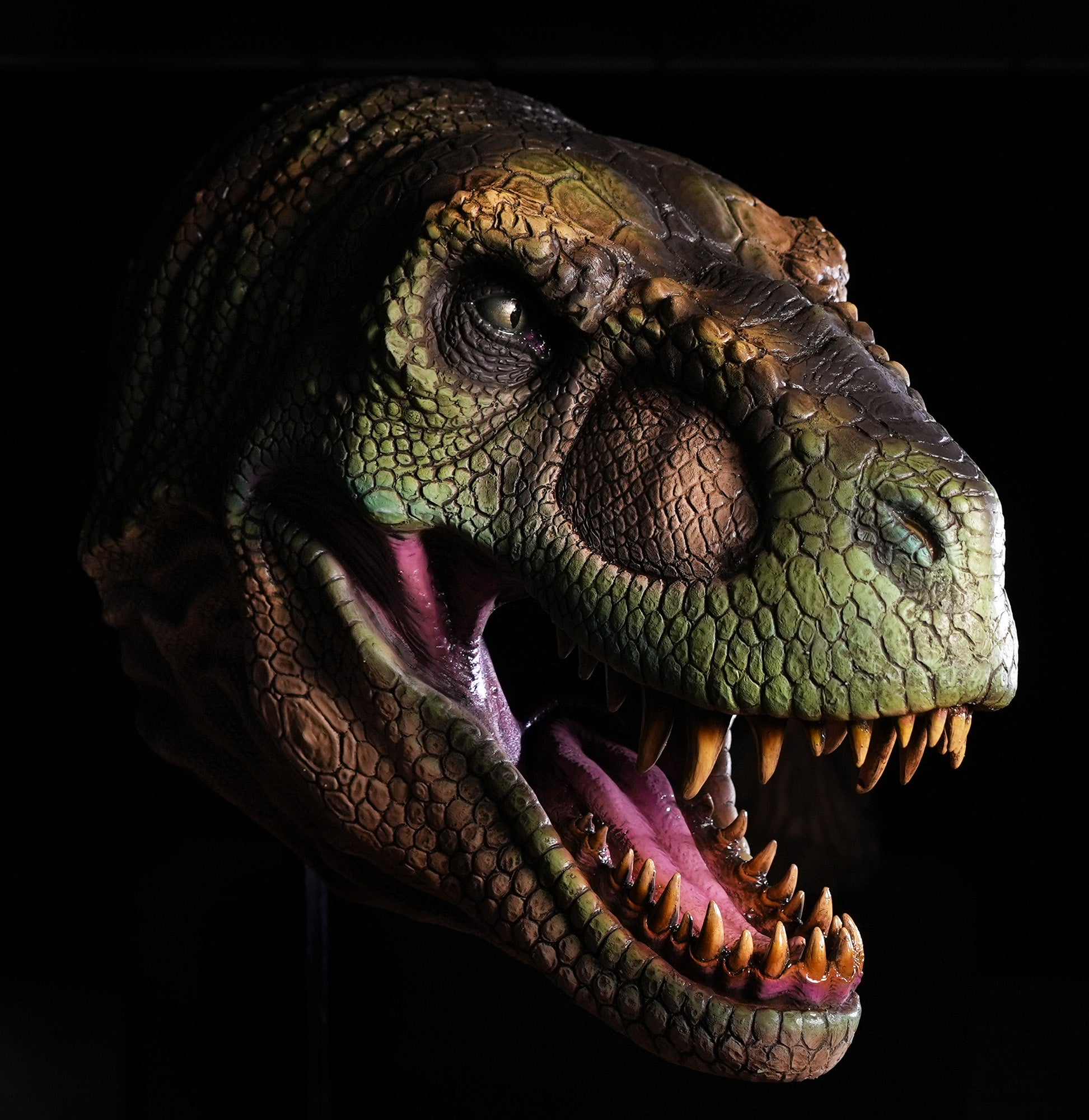 T Rex Head Wall Mount Realistic Detailed Dinosaur Prop – Distortions 