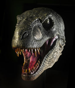 T REX Head Wall Mount Realistic Detailed Dinosaur Prop – Distortions ...