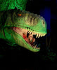 T-Rex Dinosaur Giant head display used as a photo op