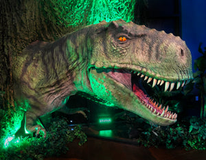 T-Rex animatronic dinosaur head by Distortions Unlimited