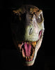 Jungle green T-Rex dinosaur prop head