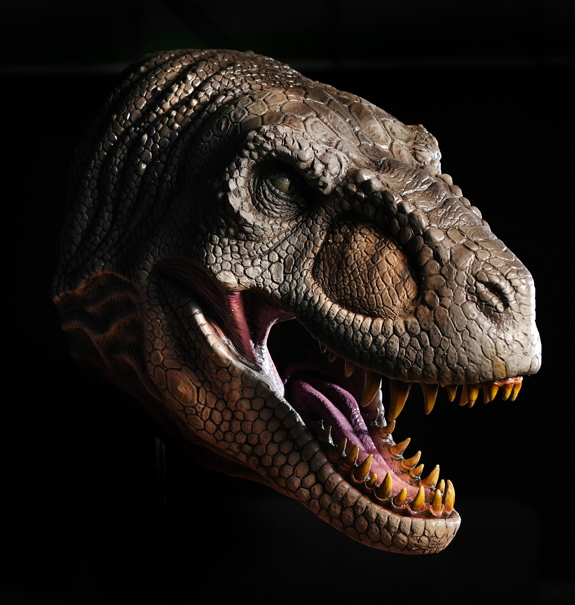 T REX Head Wall Mount Realistic Detailed Dinosaur Prop – Distortions ...