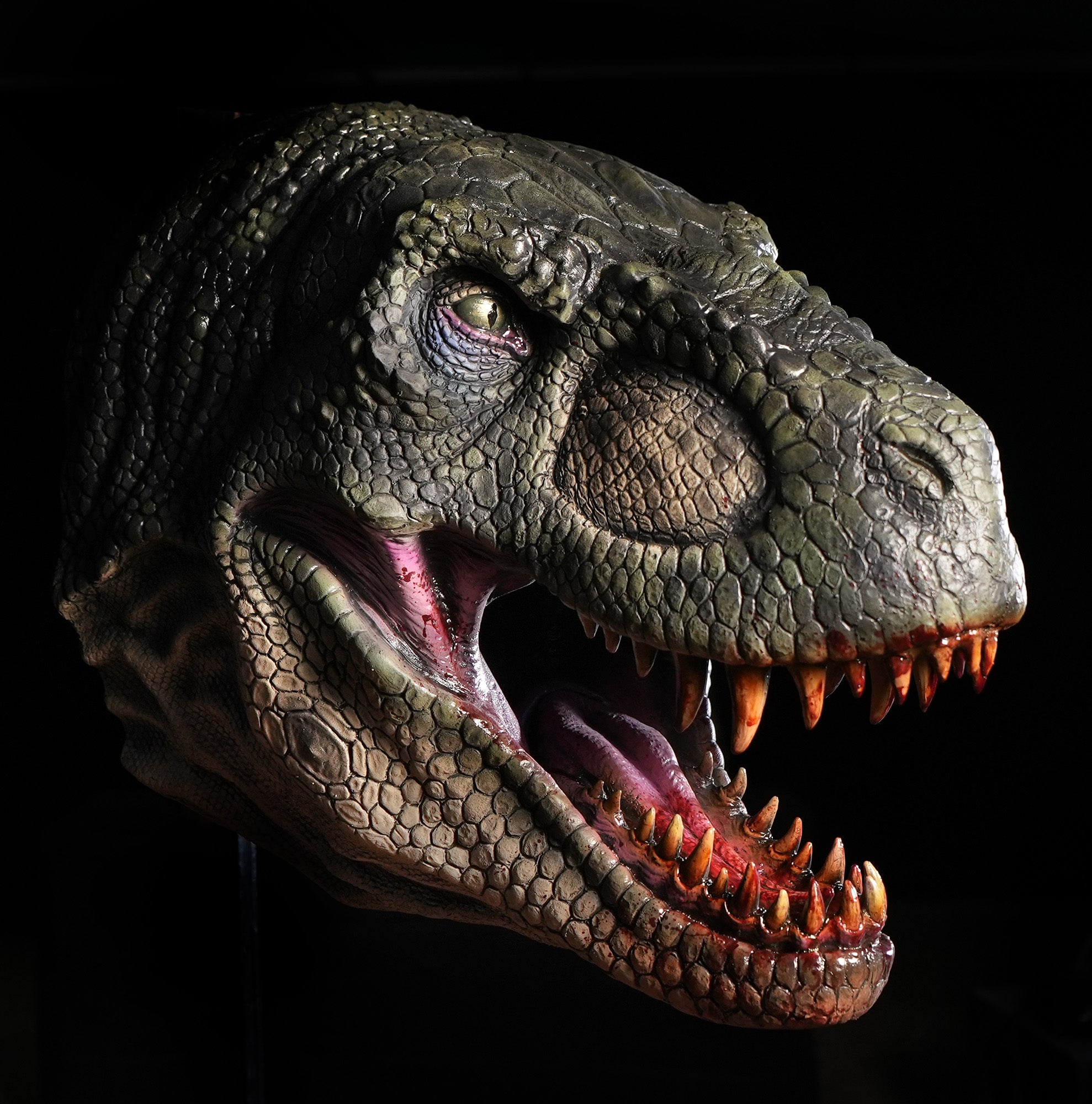 T REX Head Wall Mount Realistic Detailed Dinosaur Prop – Distortions ...