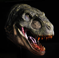 T REX Head Wall Mount Realistic Detailed Dinosaur Prop – Distortions ...