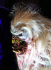 Yeti Display horror Halloween professional high-quality prop